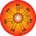 Thumbnail for version as of 08:49, 2 November 2024