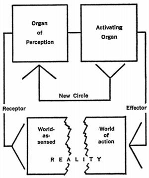 Uexkull-system.png